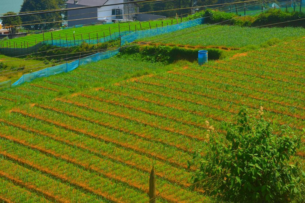 Guest House Hill Paradise Nuwara Eliya Luaran gambar