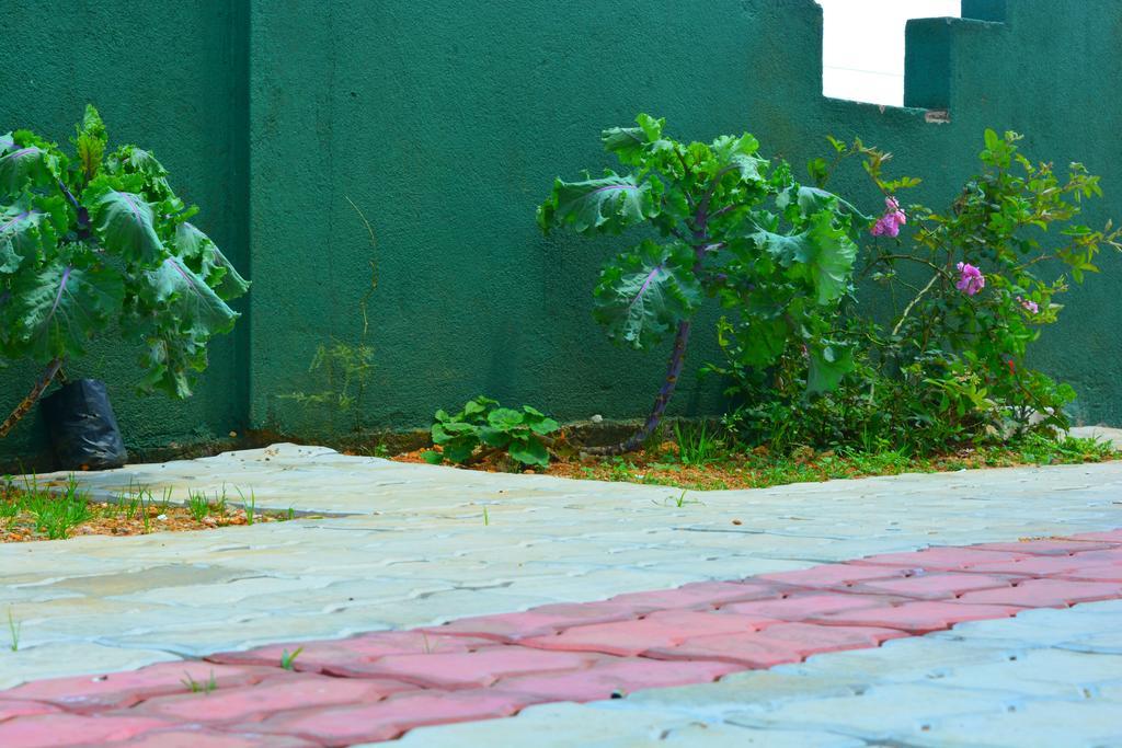 Guest House Hill Paradise Nuwara Eliya Luaran gambar